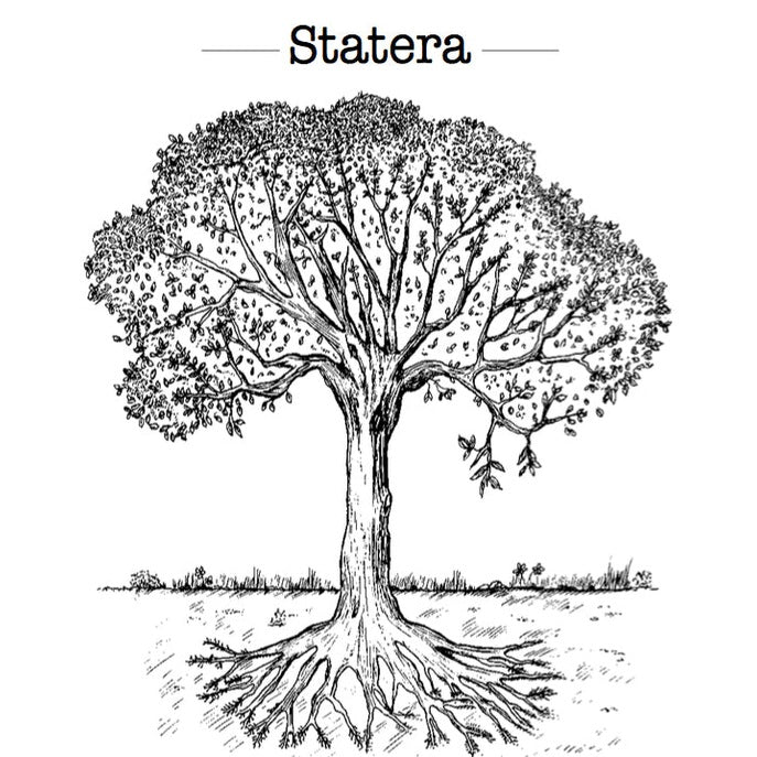 Statera Pinot Noir 2023 Jérome Bretaudeau