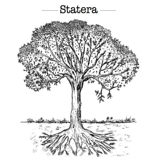 Statera Pinot Noir 2023 Jérome Bretaudeau