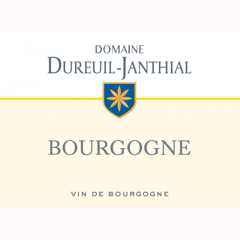 Bourgogne Pinot Noir 2022