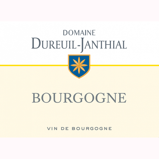 Bourgogne Pinot Noir 2022