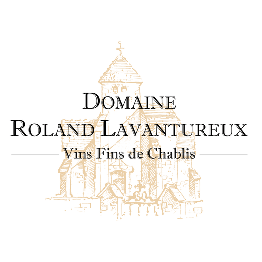 Bourgogne Tonnerre 2022 - Marvis Wine Club