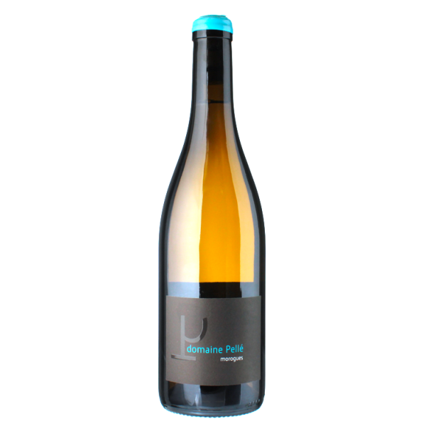Menetou-Salon Blanc Morogues 2023
