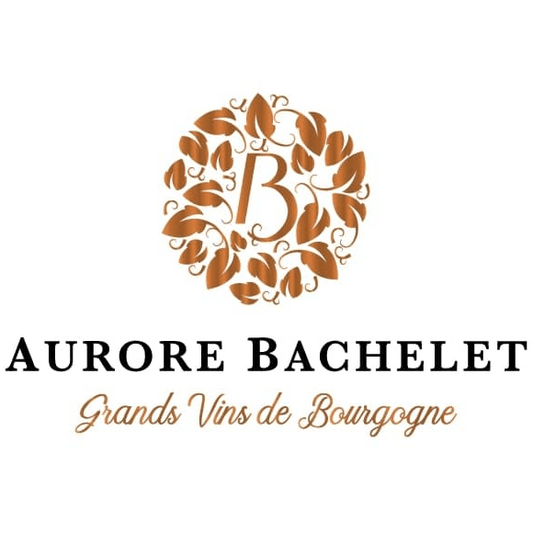 Santenay Blanc 2023 - Marvis Wine Club