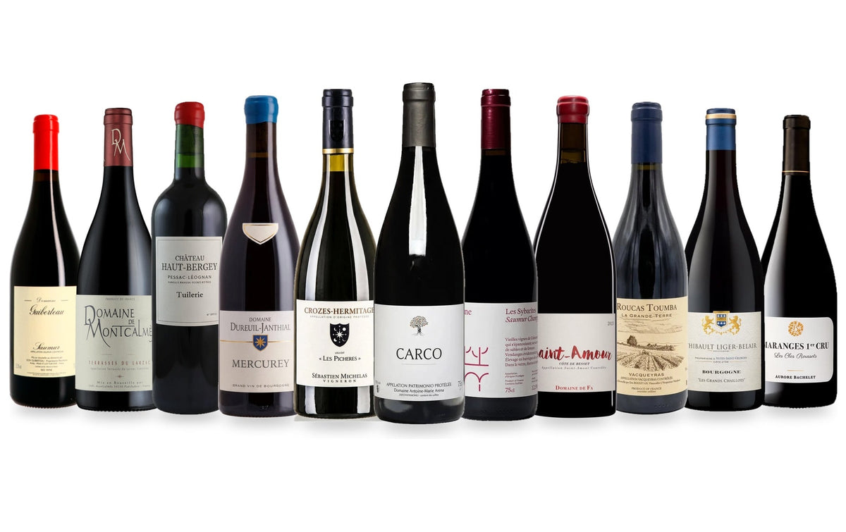 Coups de Coeur d'Automne : Vins Rouges