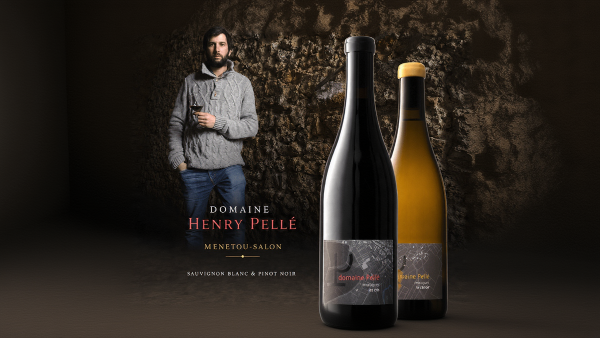 Henry Pellé, Menetou-Salon