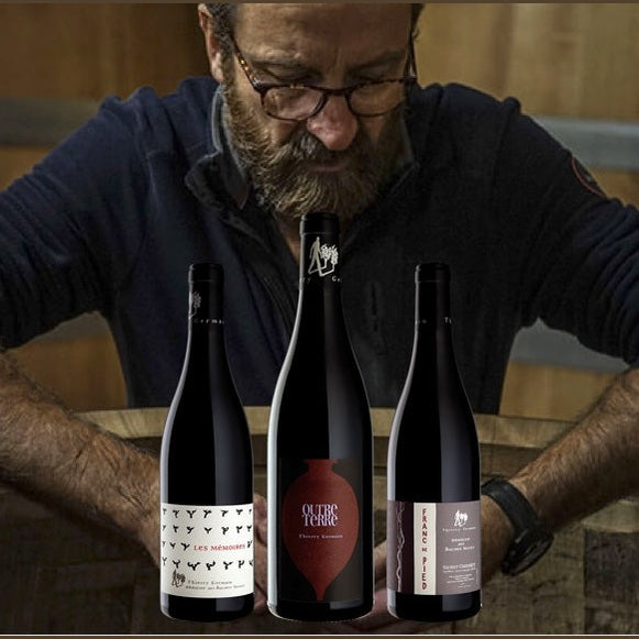 Thierry Germain Les Roches Neuves Marvis Wine