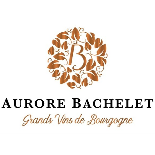 Bourgogne Blanc 2023