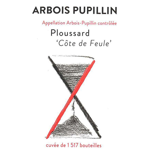 Ploussard Côte de Feule 2023 Cellier Saint Benoit