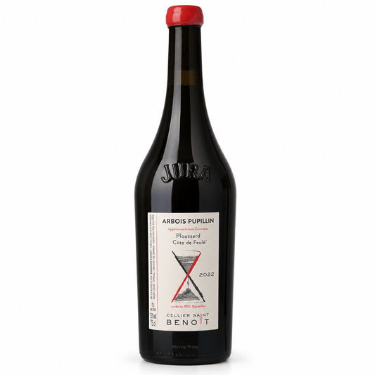Ploussard Côte de Feule 2023 Cellier Saint Benoit