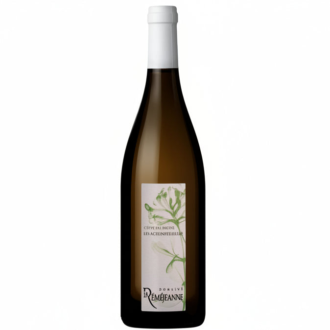 Les Chèvrefeuilles Blanc 2024