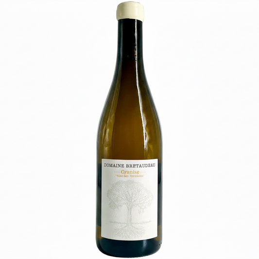 Muscadet Granite Clos des Perrières 2023 Jérome Bretaudeau
