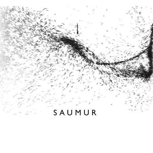 Saumur Blanc 2023 Brendan-Stater West