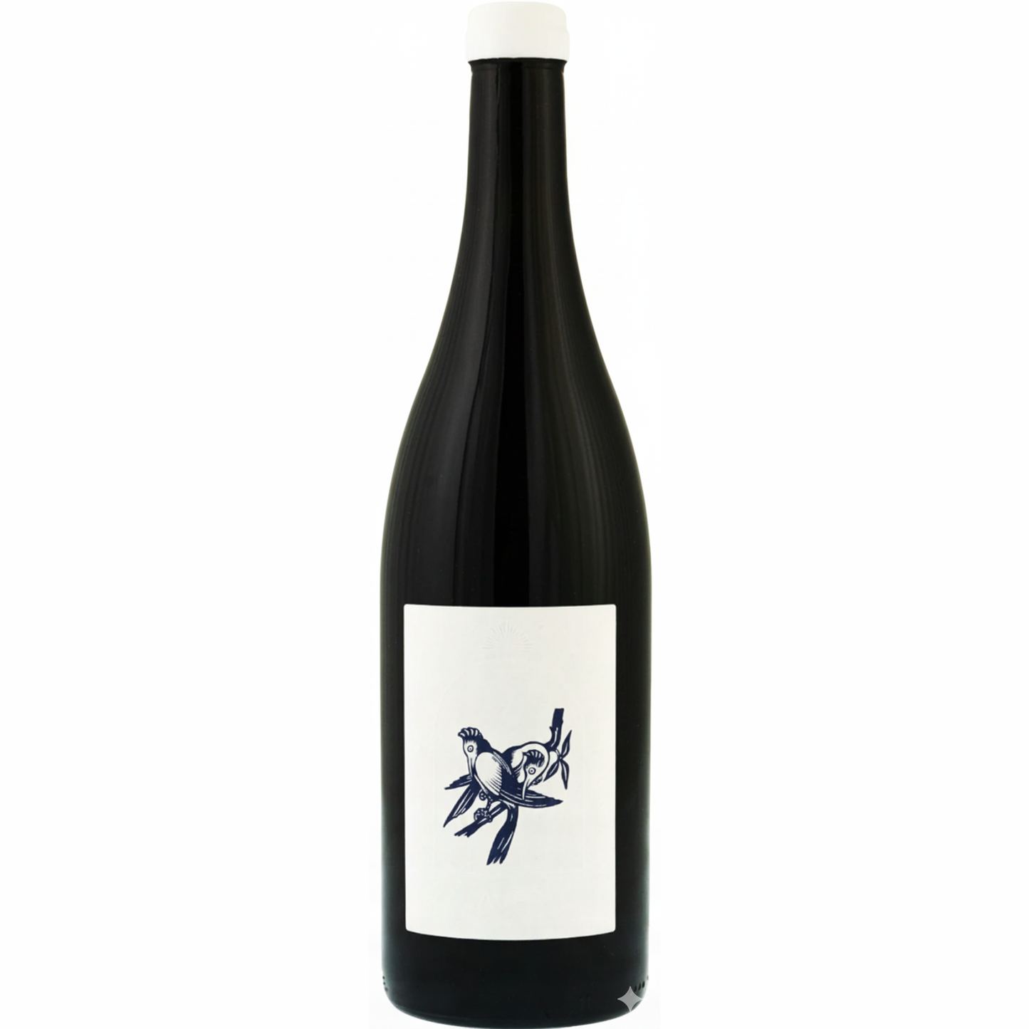 Côte Roannaise Aves Les Oiseaux Rares 2024