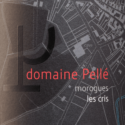 Menetou-Salon rouge Les Cris 2022 Henry Pellé