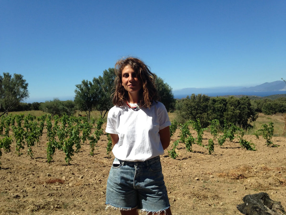 Domaine Pinelli, Patrimonio