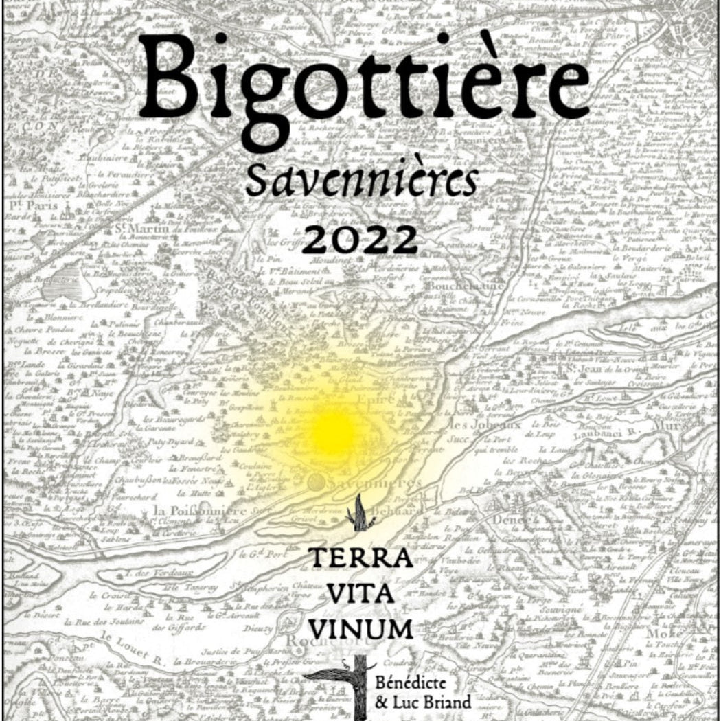 Savennières Bigottière 2022