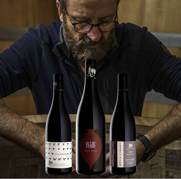 Thierry Germain Les Roches Neuves Marvis Wine